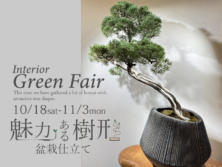 グリーンフェア「魅力ある樹形-盆栽仕立て-」10月18日(土)～11月3日(月)
