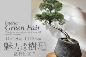 グリーンフェア「魅力ある樹形-盆栽仕立て-」10月18日(土)～11月3日(月)