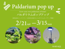 パルダリウムポップアップ開催2月21日(土)～3月15日(日)