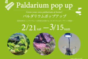 パルダリウムポップアップ開催2月21日(土)～3月15日(日)